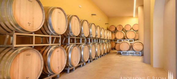 Castillos de 6 dormitorios en Montepulciano, Italy No. 119075 12