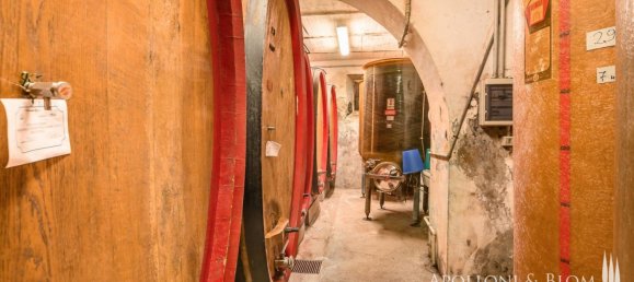 Castillos de 6 dormitorios en Montepulciano, Italy No. 119075 16