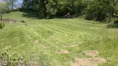 Terrain à Stadtschlaining, Austria No. 228213