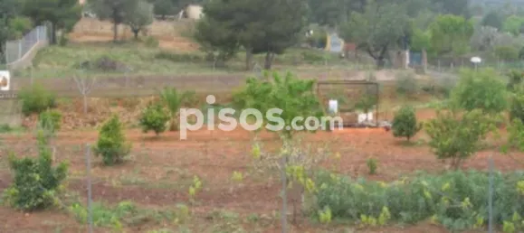 Земельный участок 2000м² в Турис, Испания № 72053 2