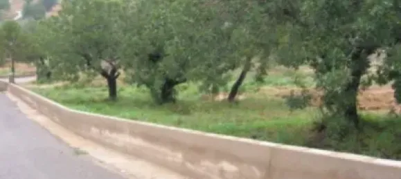 Земельный участок 2000м² в Турис, Испания № 72053 3