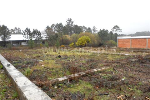  قطعة أرض في Barcelos, Portugal رقم 202279