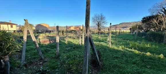 6 rooms House in Todi, Italy No. 104186 11