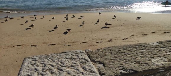 4 bedrooms Villa in Sesimbra, Portugal No. 103566 23