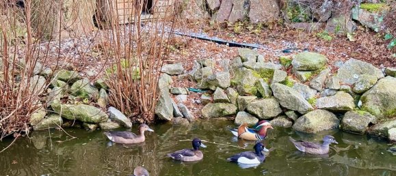 4 bedrooms Villa in Saverne, France No. 51921 38