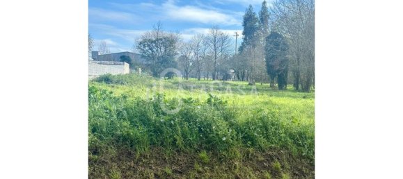 1950m² Land in Agueda, Portugal No. 206117 5