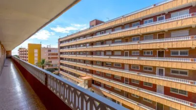 3 chambres Appartement à Torrevieja, Spain No. 174763