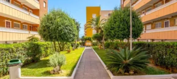 3 chambres Appartement à Torrevieja, Spain No. 174763 18