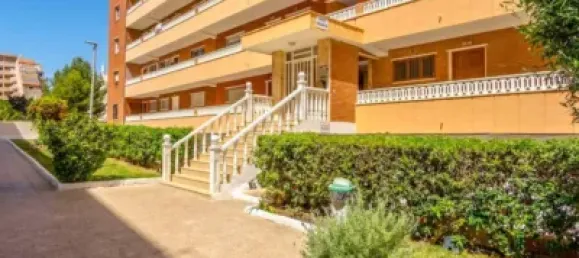 3 chambres Appartement à Torrevieja, Spain No. 174763 17