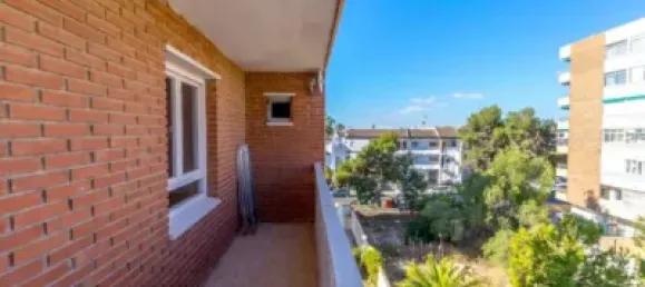 3 chambres Appartement à Torrevieja, Spain No. 174763 11