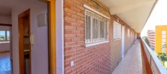 3 chambres Appartement à Torrevieja, Spain No. 174763 14