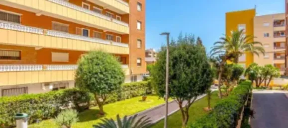 3 chambres Appartement à Torrevieja, Spain No. 174763 15