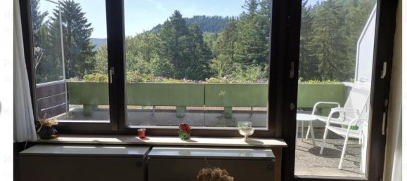 2 rooms Apartment in Calw, Germany No. 218564 2