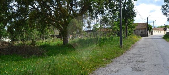 Terrain à Valega, Portugal 3510m² No. 89547 2