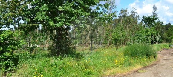 Terrain à Valega, Portugal 3510m² No. 89547 3