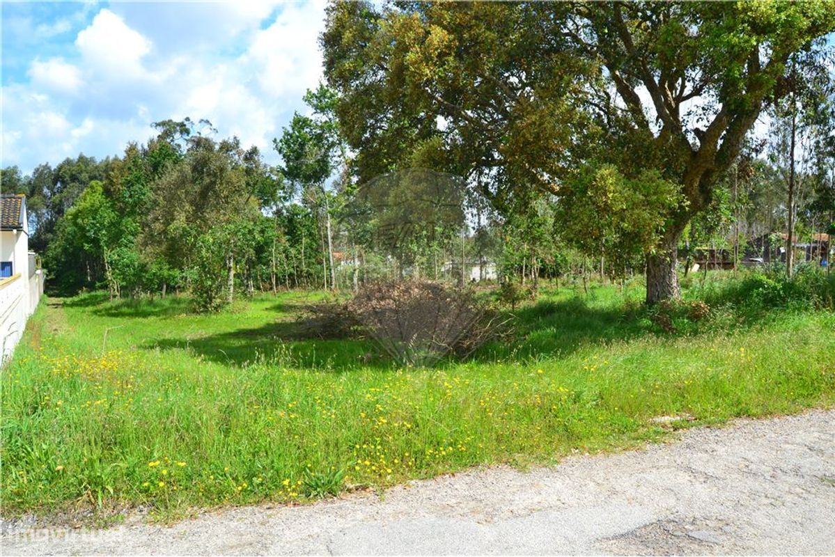 Terrain à Valega, Portugal 3510m² No. 89547