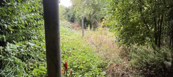 4 bedrooms House in Vandoeuvre-les-Nancy, France No. 238408 20