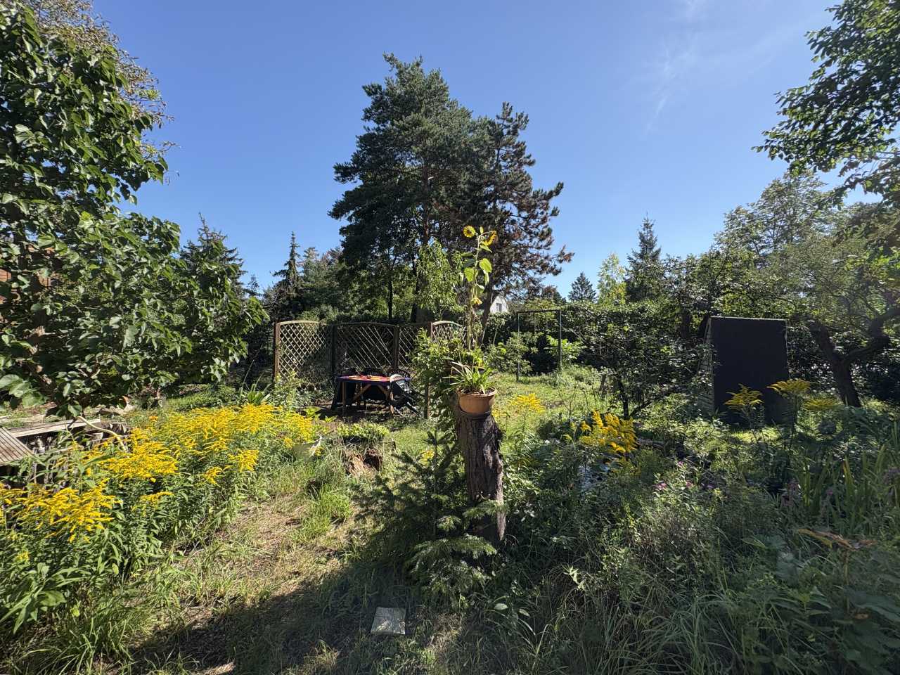  Land in Mahlsdorf, Germany No. 350097