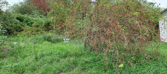 1219m² Land in Petzenkirchen, Austria No. 212466 4