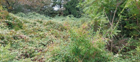 1219m² Land in Petzenkirchen, Austria No. 212466 8