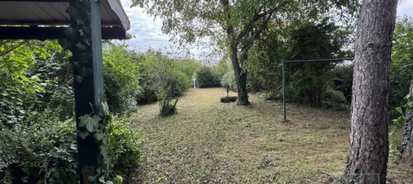  Land in Wiener Neustadt, Austria No. 259084 3