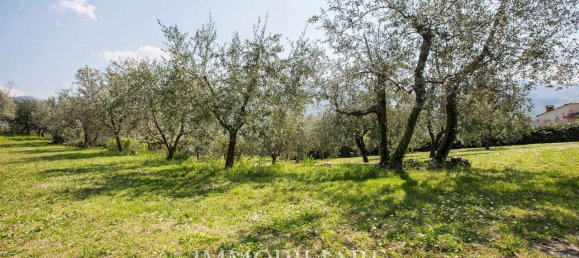 5 bedrooms Villa in Fiesole, Italy No. 354720 15