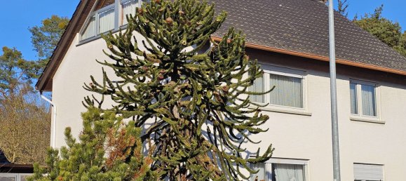 Casa T4 em Rhein-Pfalz, Germany N.º 127999 2