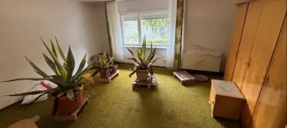 5 chambres Maison de ville à Ortenaukreis, Germany No. 329854 10