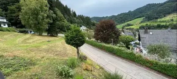 5 chambres Maison de ville à Ortenaukreis, Germany No. 329854 8