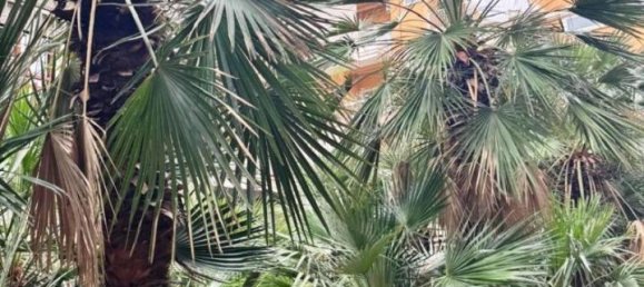 3 rooms Apartment in Rome, Italy No. 37600 20