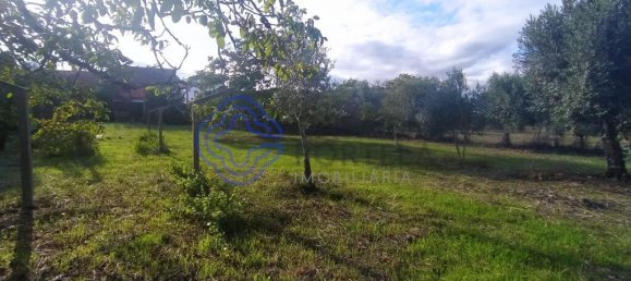 2 bedrooms House in Ferreira do Zezere, Portugal No. 14480 6