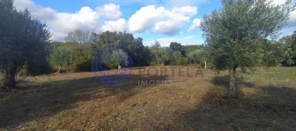 2 bedrooms House in Ferreira do Zezere, Portugal No. 14480 7