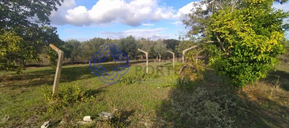 2 bedrooms House in Ferreira do Zezere, Portugal No. 14480 8