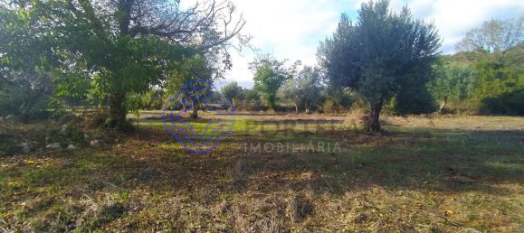 2 bedrooms House in Ferreira do Zezere, Portugal No. 14480 4