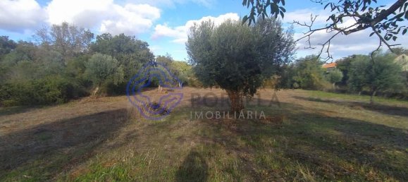 2 bedrooms House in Ferreira do Zezere, Portugal No. 14480 5