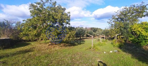 2 bedrooms House in Ferreira do Zezere, Portugal No. 14480 9