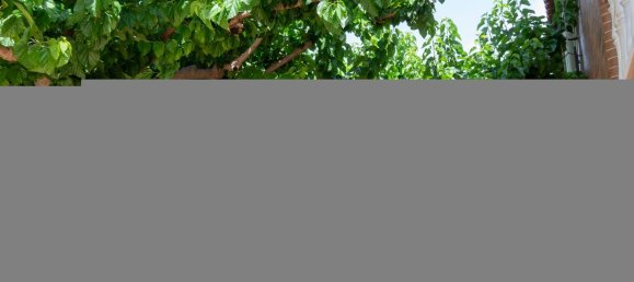 5 bedrooms House in Era Alta, Spain No. 162803 32