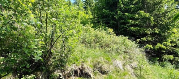  Land in Nauders, Austria No. 165114 2