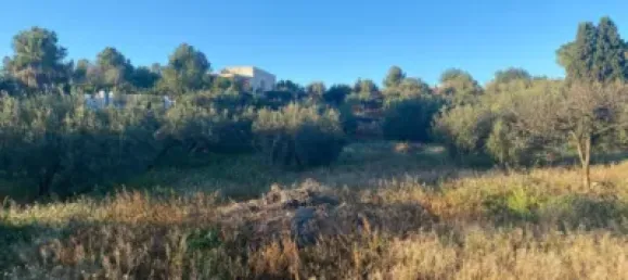 4 bedrooms House in Valencia, Spain No. 175468 21