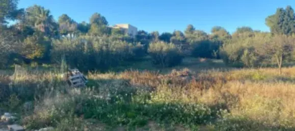 4 bedrooms House in Valencia, Spain No. 175468 19