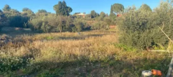 4 bedrooms House in Valencia, Spain No. 175468 20