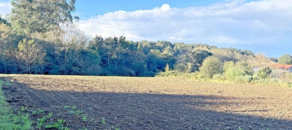 4673m² Land in Vilarmaior, Spain No. 44819 6