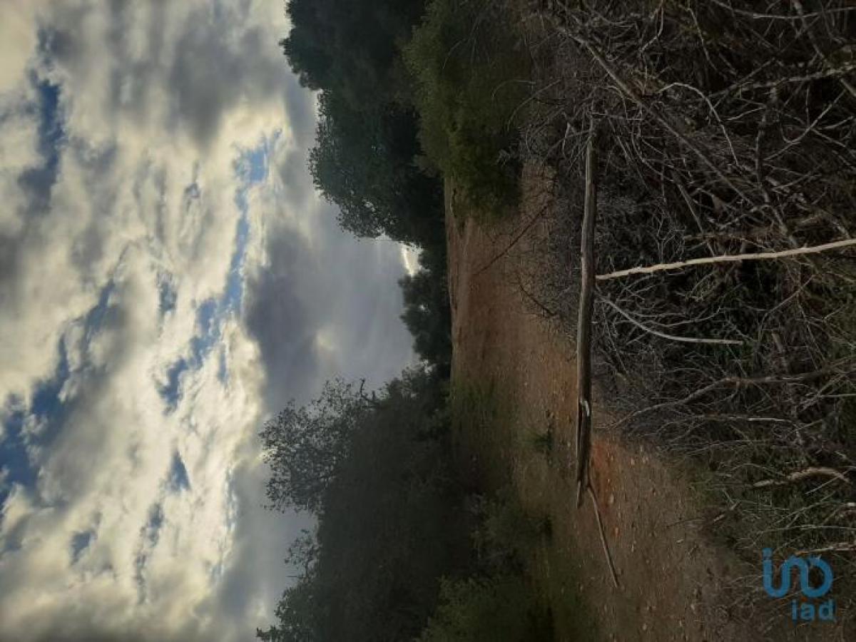 Grundstück in Olhao, Portugal, Nr. 2274