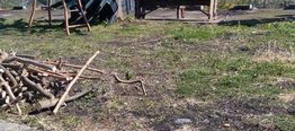 1800m² Land in Mascali, Italy No. 281282 2