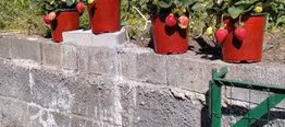 1800m² Land in Mascali, Italy No. 281282 6