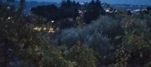 1800m² Land in Mascali, Italy No. 281282 3