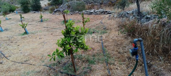 2 bedrooms House in Alcoutim, Portugal No. 56234 14