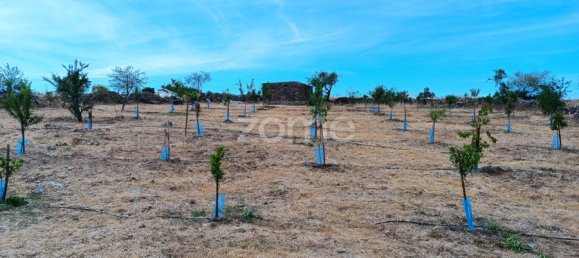 2 bedrooms House in Alcoutim, Portugal No. 56234 15