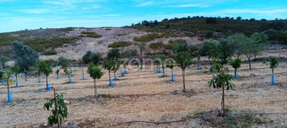 2 bedrooms House in Alcoutim, Portugal No. 56234 17