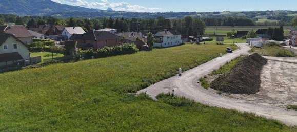 Terrain à Nussbach, Austria No. 244301 9